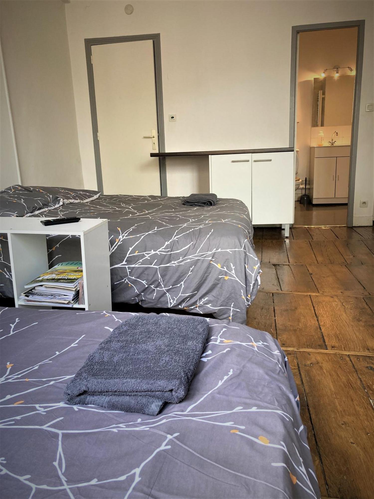 Studio Double 21 Centre De Limoges Wifi المظهر الخارجي الصورة